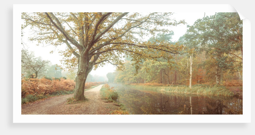 Canal on a autumn day by Assaf Frank